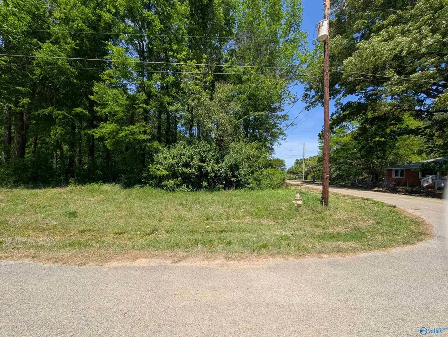 21 West Mckinney Street, Gadsden, AL 35904 - #2