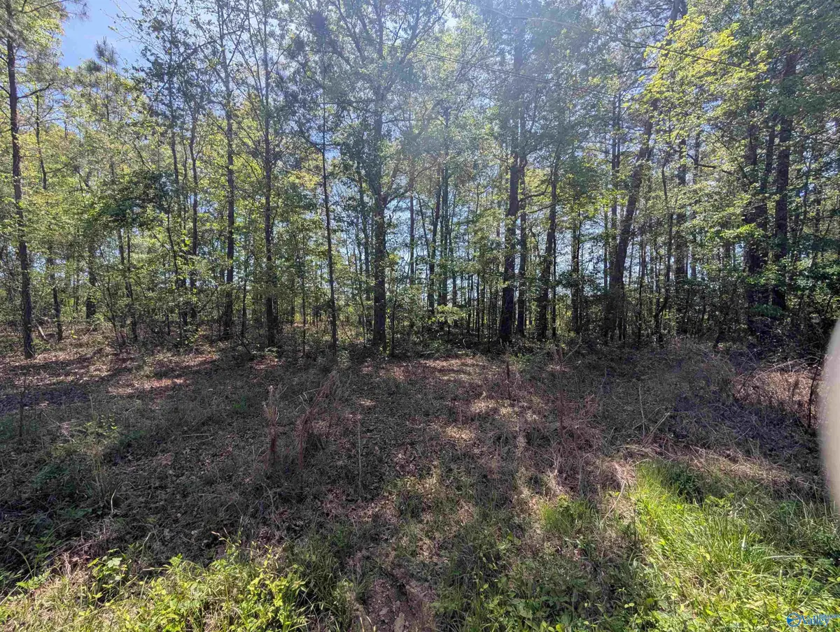 11 Paradise Avenue, Gadsden, AL 35903 - #1