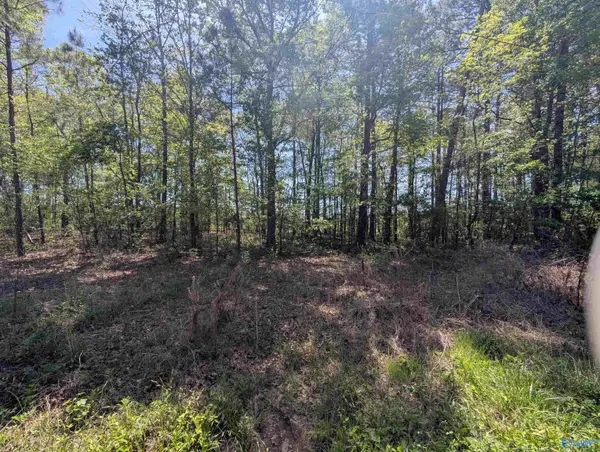 11 Paradise Avenue, Gadsden, AL 35903