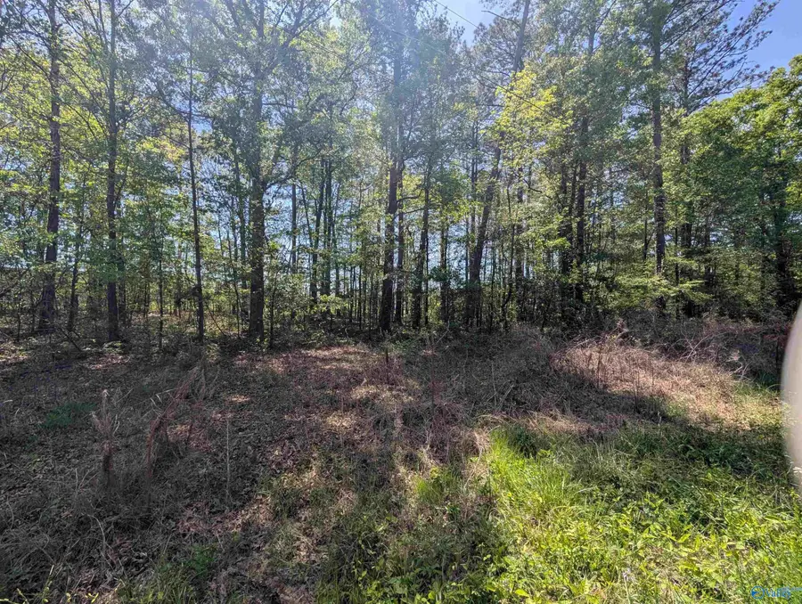 11 Paradise Avenue, Gadsden, AL 35903 - #3
