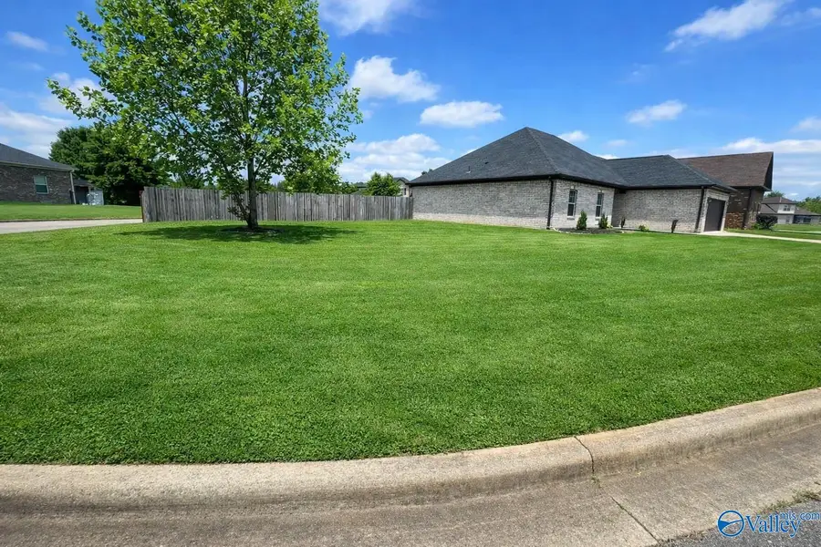 144 Old Eli Road, Toney, AL 35773 - #3