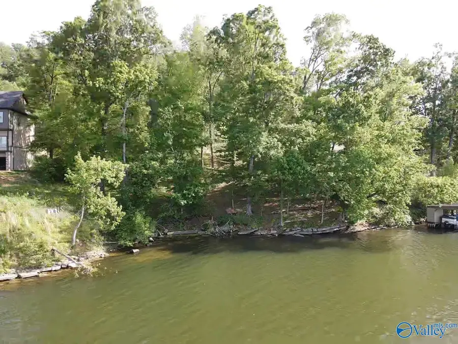 161 Monte Sano Drive, Scottsboro, AL 35769 - #2