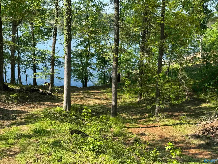 161 Monte Sano Drive, Scottsboro, AL 35769 - #3