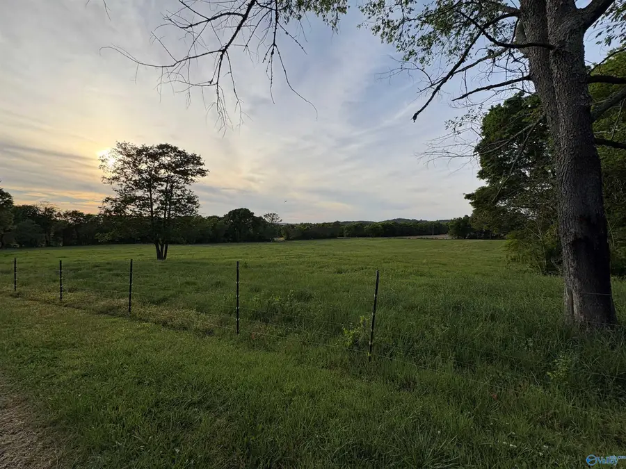 616 Godwin Point Road, Langston, AL 35755 - #3