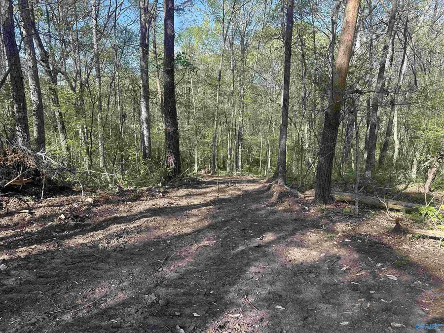 145 County Road 485, Fort Payne, AL 35968 - #3