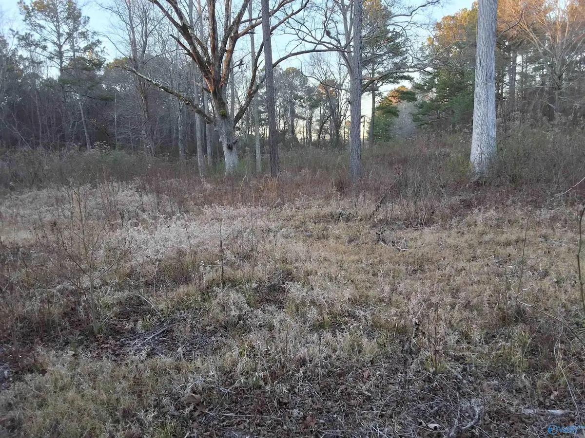 3.02 acres Euclid Road, Gadsden, AL 35903 - #1