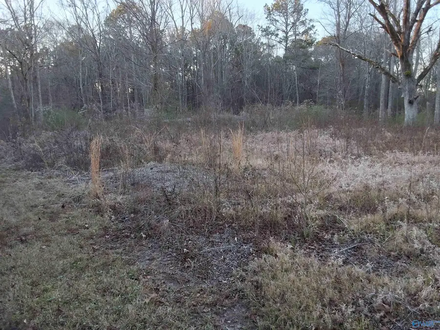 3.02 acres Euclid Road, Gadsden, AL 35903 - #3