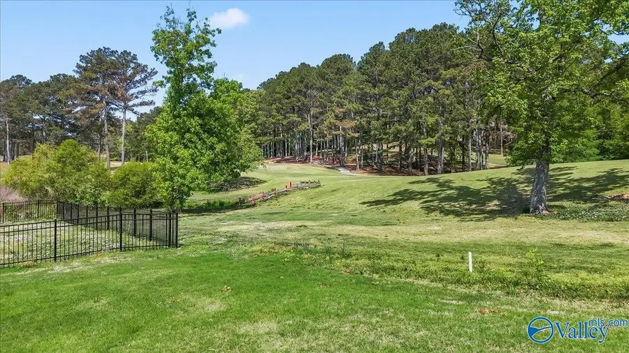 2931 Cherokee Ridge Drive, Union Grove, AL 35175 - #3