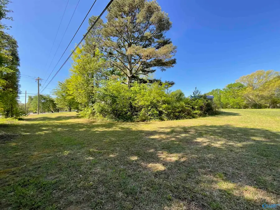 2520 Hulaco Road, Joppa, AL 35087 - #2