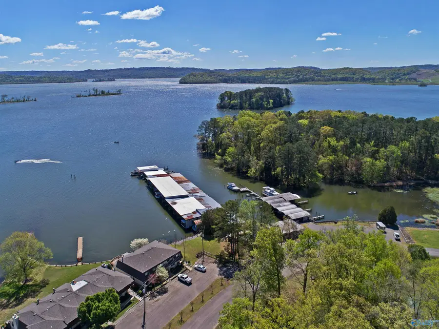 225 Riverbend Circle, Guntersville, AL 35976 - #3