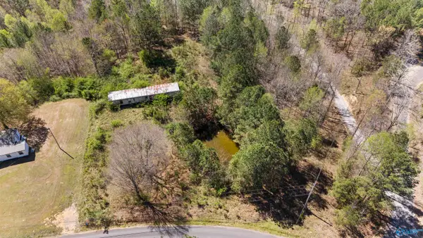 461 County Road 935, Crane Hill, AL 35053