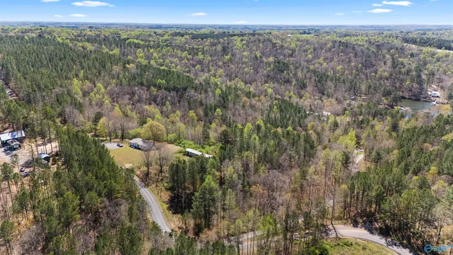 461 County Road 935, Crane Hill, AL 35053 - #3