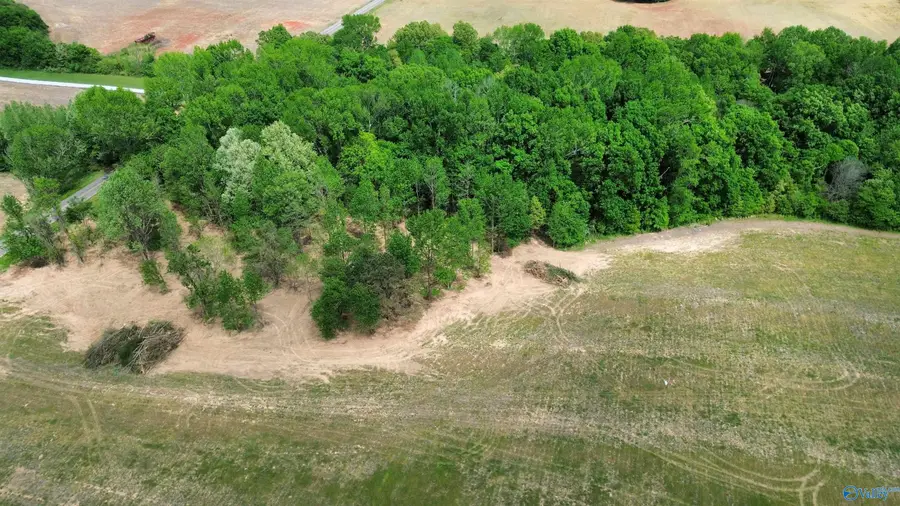 Tracts 7 & 8 Ed Ray Road, Athens, AL 35613 - #3