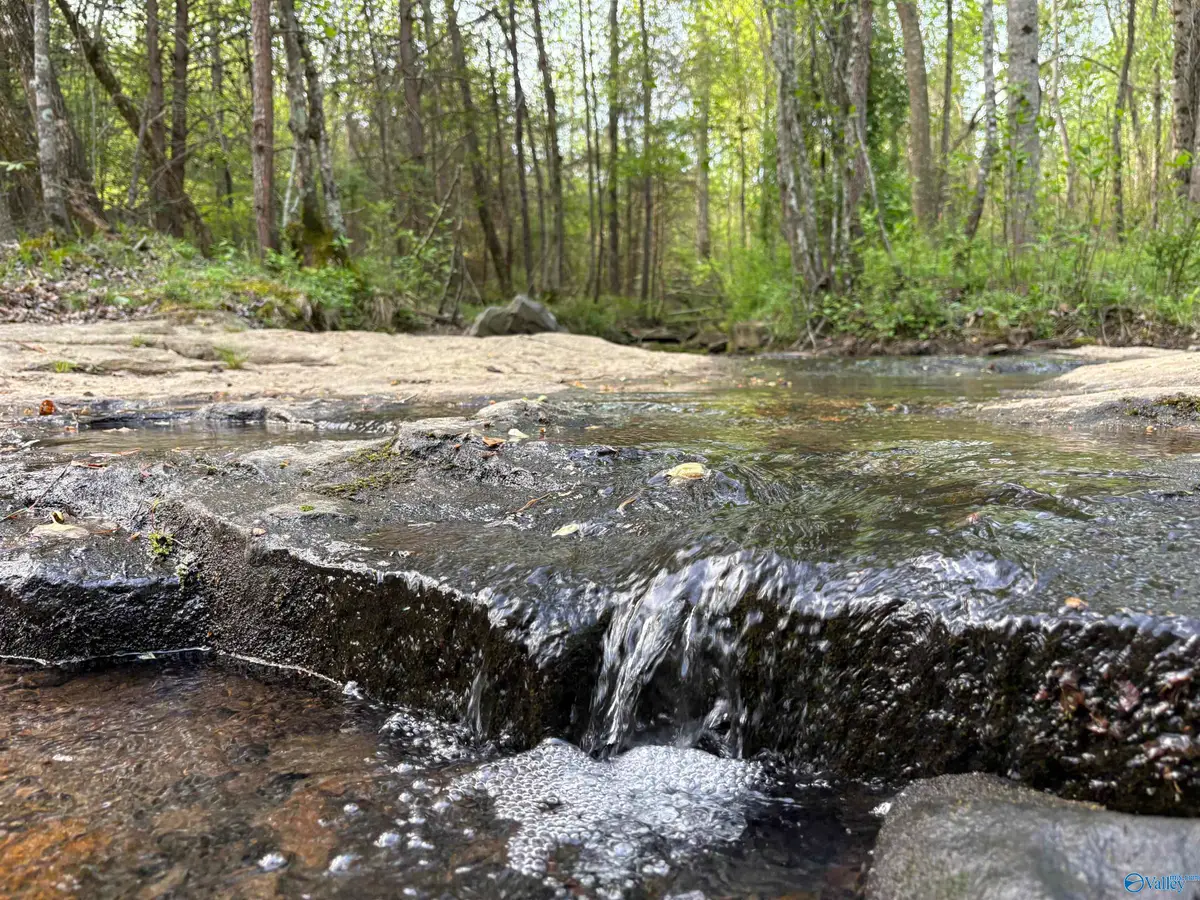 20.90 ac County Road 361, Pisgah, AL 35765 - #1