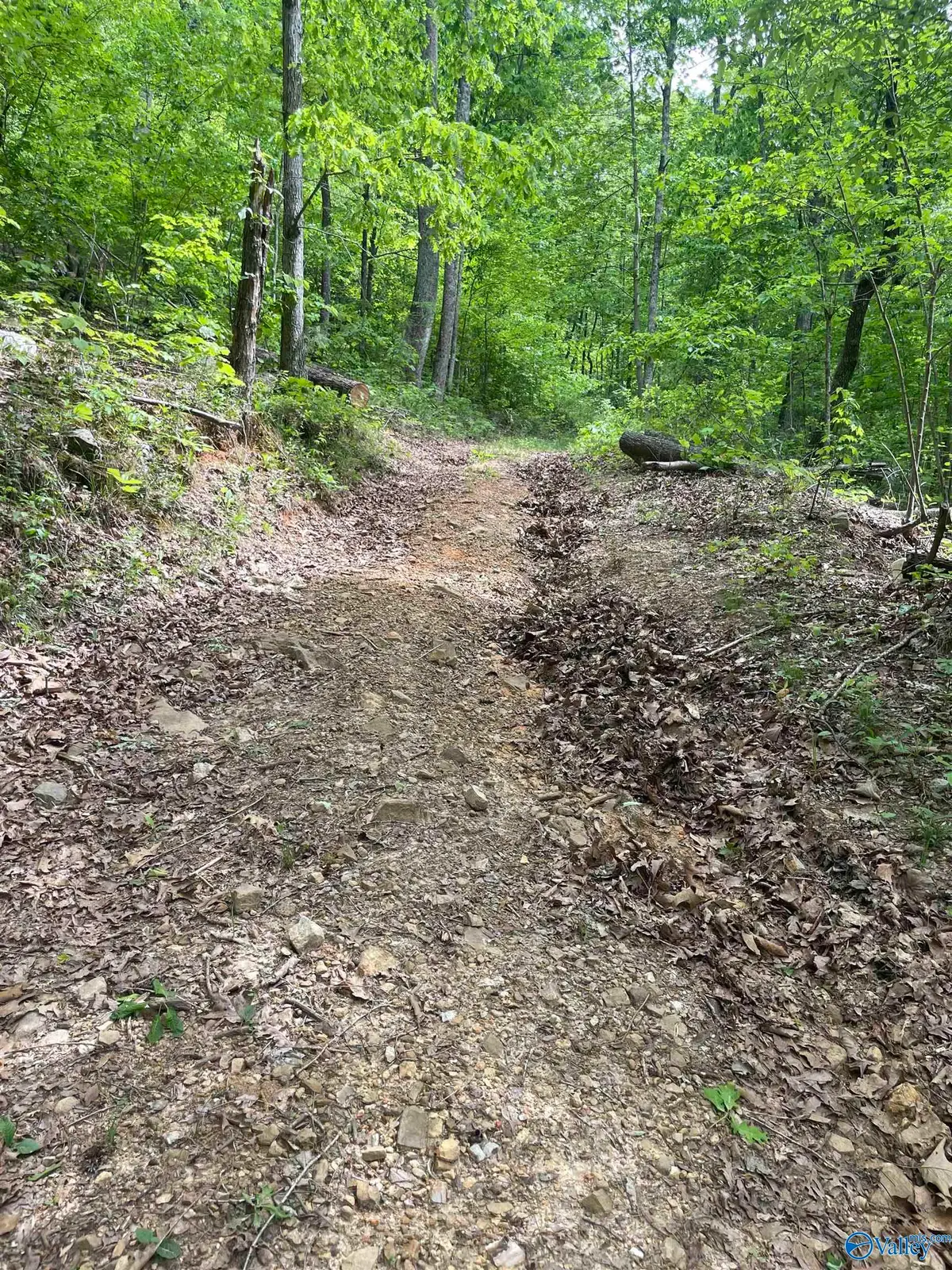 12 acre Cottonville Road, Grant, AL 35747 - #1