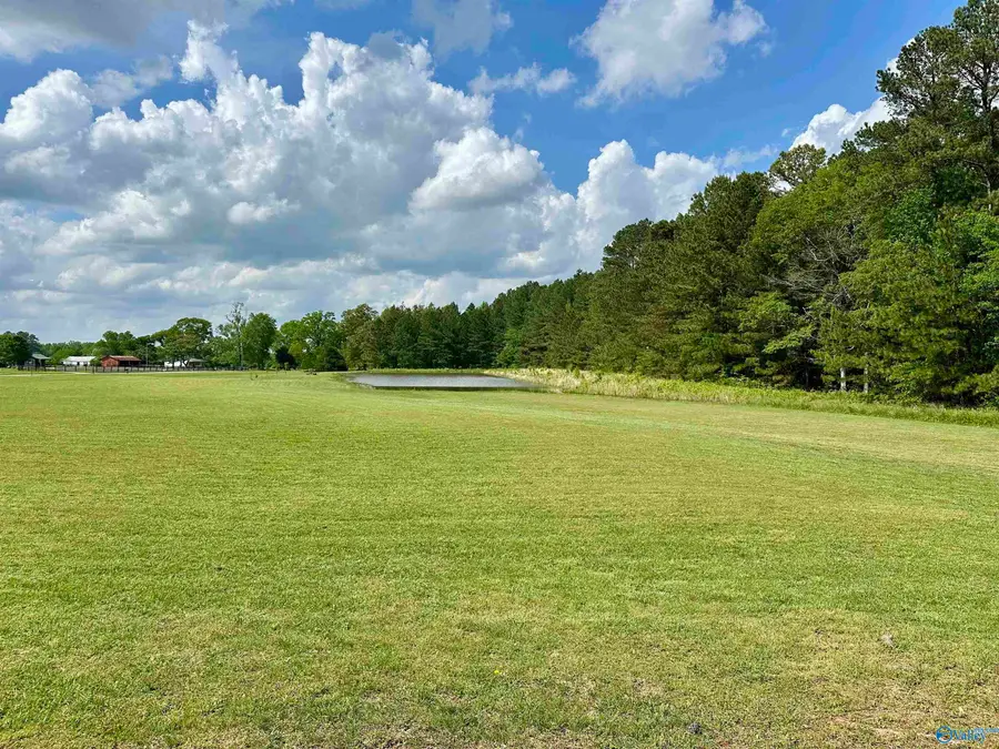 0001 Lambert Road, Elkmont, AL 35620 - #2