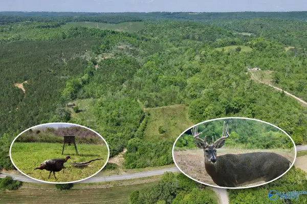 72 AC County Road 227, Attalla, AL 35954