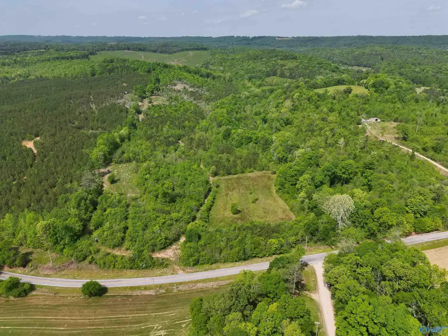 72 AC County Road 227, Attalla, AL 35954 - #2
