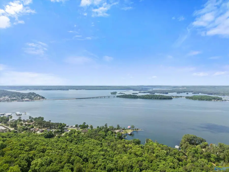451 Panorama Way E, Guntersville, AL 35976 - #2