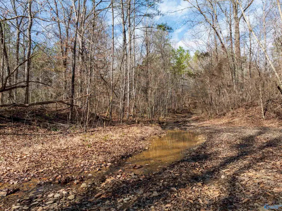 40 acre Red Hill Road, Oakman, AL 35579 - #3