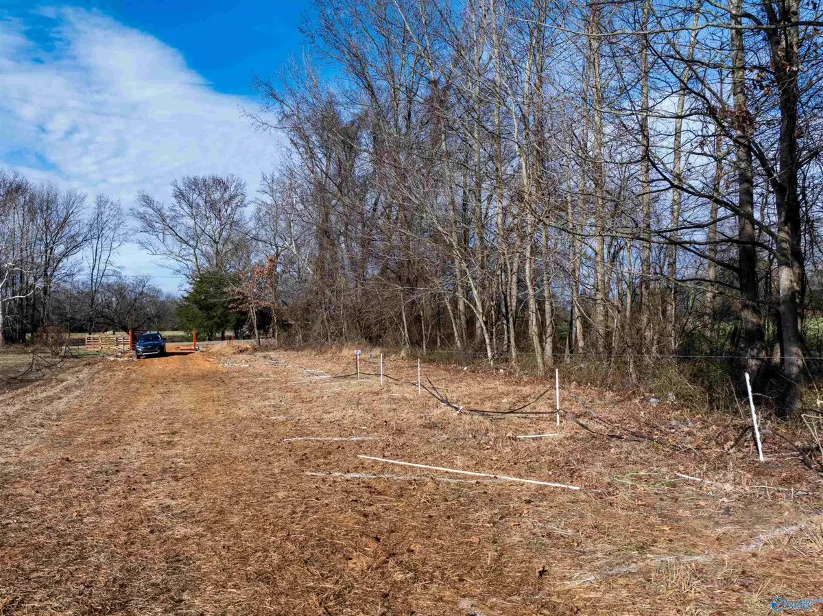 2670 County Road 165, Moulton, AL 35650 - #1
