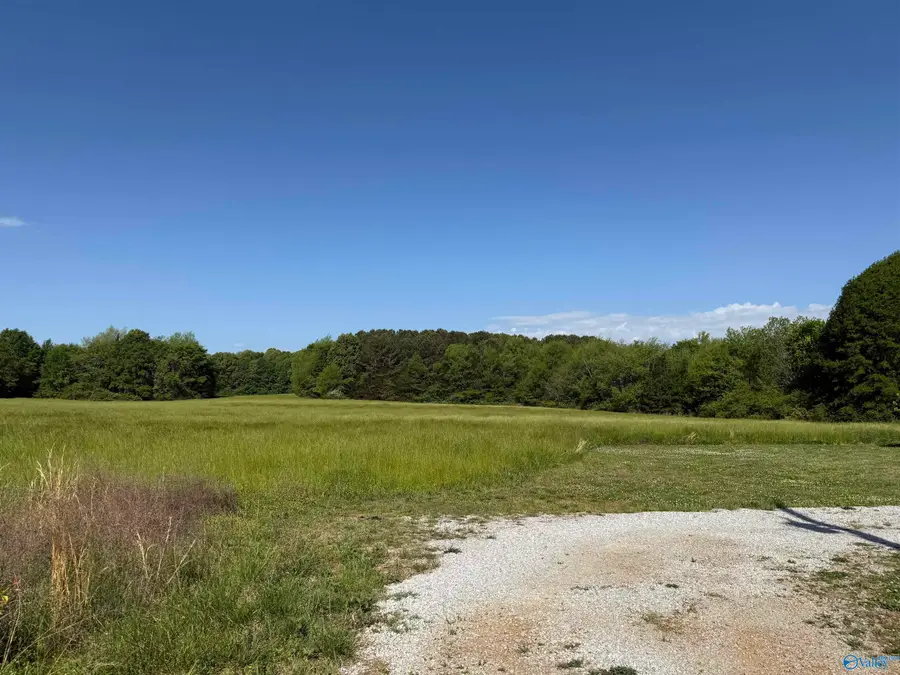 3 Acres Mount Lebanon Road, Toney, AL 35773 - #2