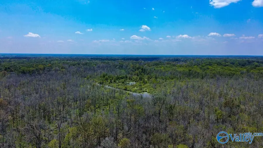 188 Acres Taylor Ridge Road, Montgomery, AL 36116 - #2