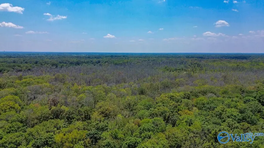 188 Acres Taylor Ridge Road, Montgomery, AL 36116 - #3