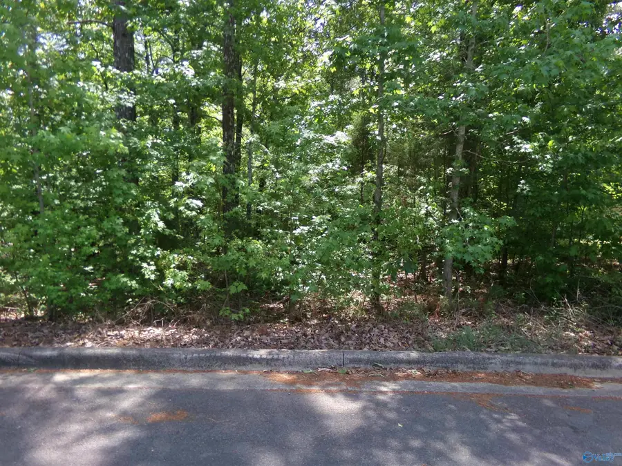 Lot 33 Cade Circle, Leesburg, AL 35983 - #2
