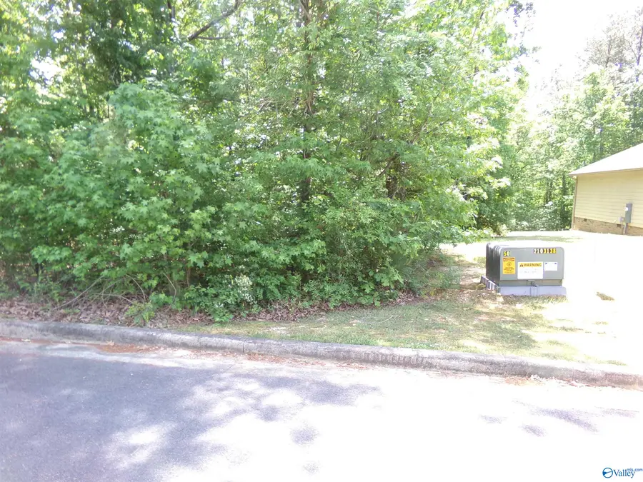 Lot 33 Cade Circle, Leesburg, AL 35983 - #3