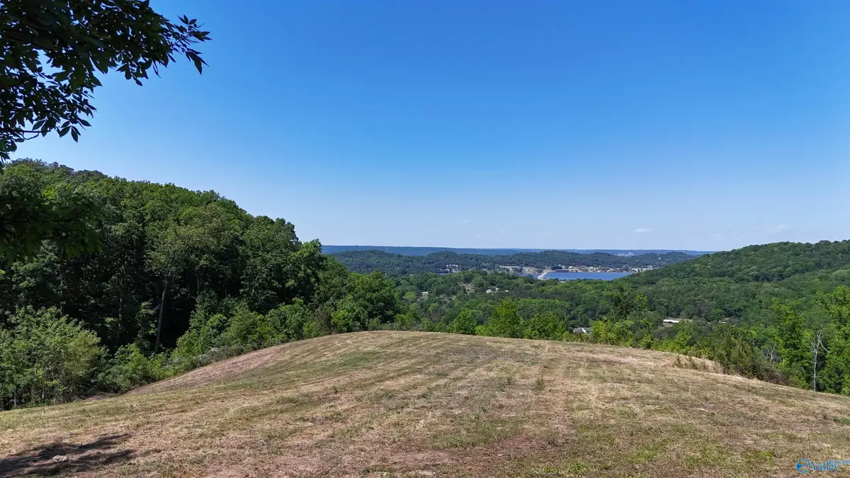 Tracts 4&5 Rocky Branch Road, Guntersville, AL 35976 - #1