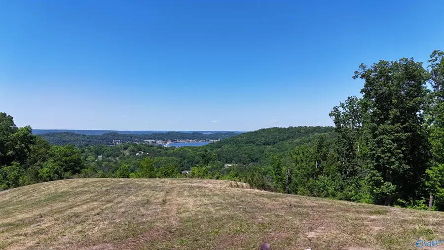 Tracts 4&5 Rocky Branch Road, Guntersville, AL 35976 - #3