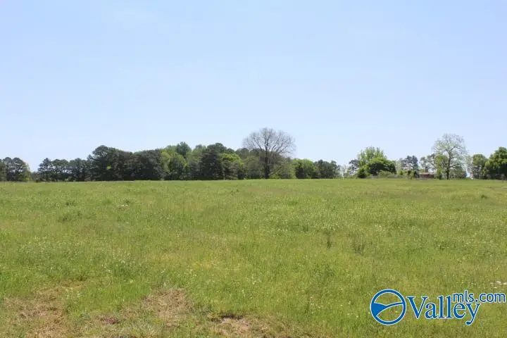 28.77 acres Cranford Road, Arab, AL 35016 - #2