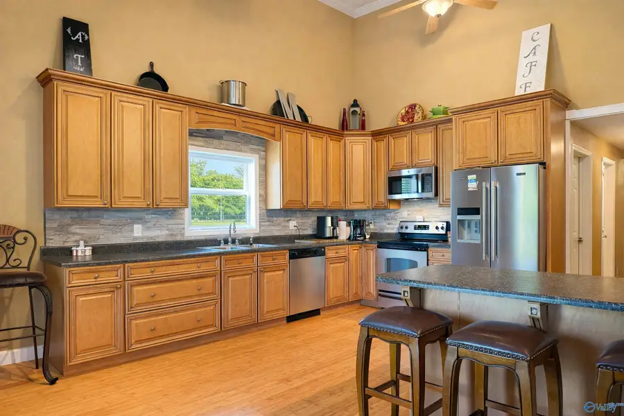 4234 County Road 460, Mount Hope, AL 35651 - #3