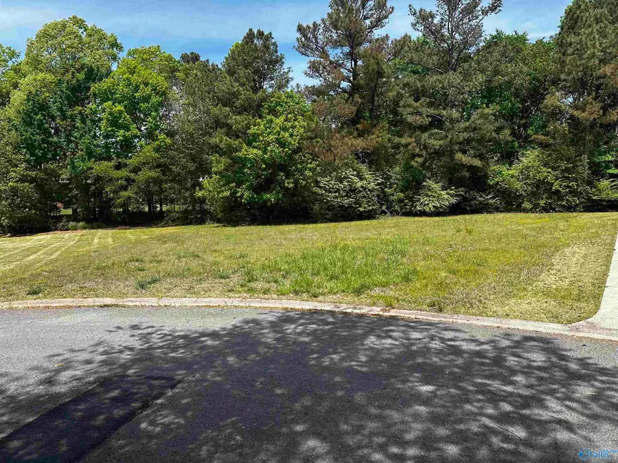 154 Ridgewood Circle, Cherokee Ridge, AL 35175 - #3