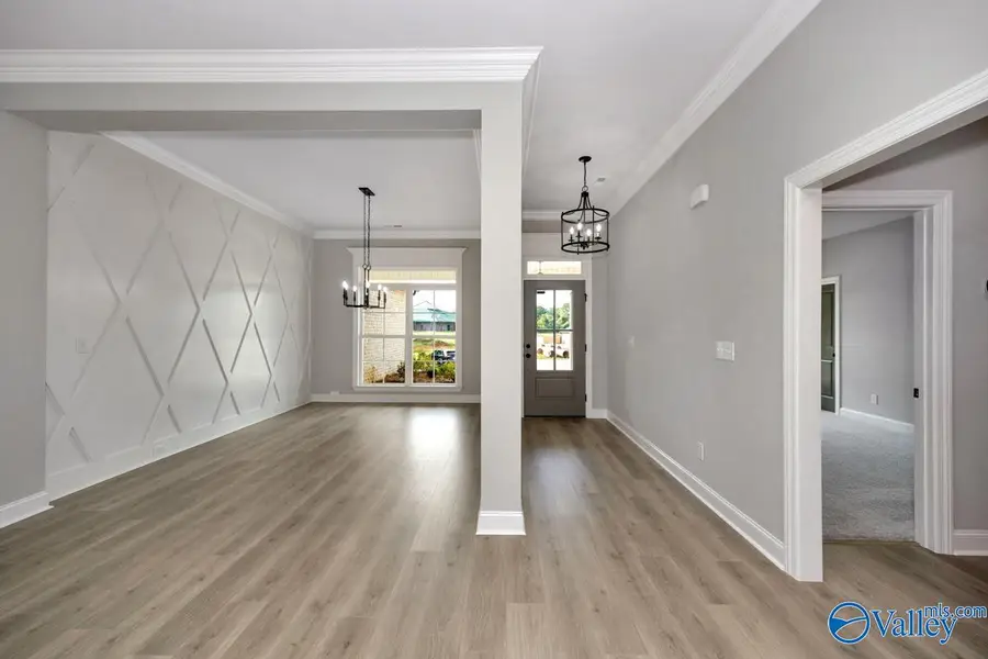 116 Timber Springs Court, Madison, AL 35756 - #2