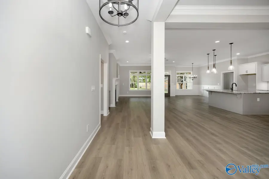 116 Timber Springs Court, Madison, AL 35756 - #3