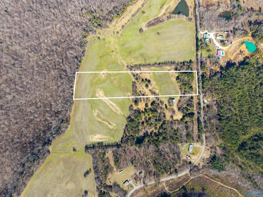 Tract 1 4610 County Road 81, Flat Rock, AL 35966 - #2