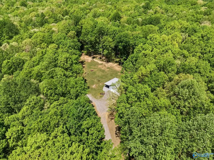 6651 County Road 107, Scottsboro, AL 35768 - #2