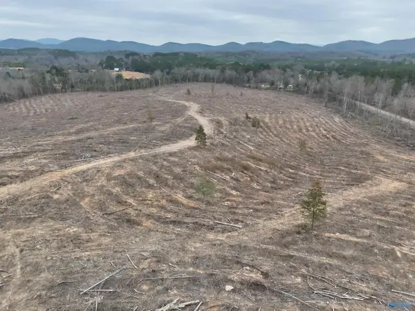 80 AC County Road 75, Cedar Bluff, AL 35959