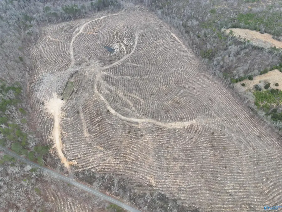 80 AC County Road 75, Cedar Bluff, AL 35959 - #3