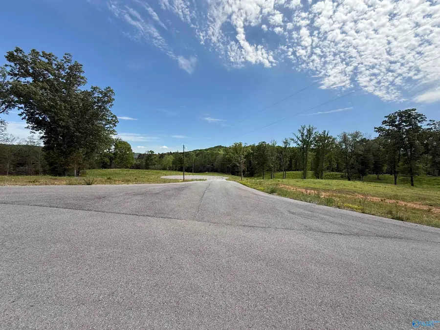 Lantana Haven Ashville Road, Altoona, AL 35952 - #2