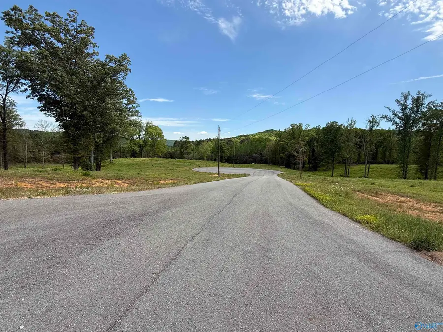 Lantana Haven Ashville Road, Altoona, AL 35952 - #3