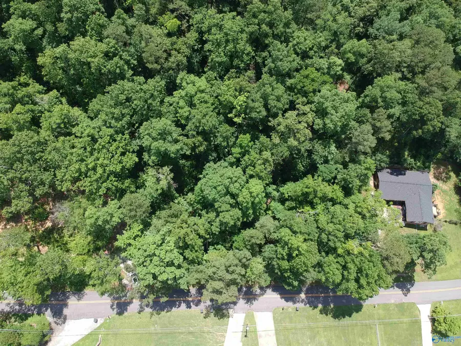 32 N Lakemont Drive, Southside, AL 35907 - #2
