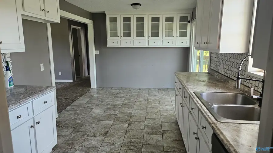 254 Mount Sinai Road, Horton, AL 35980 - #3