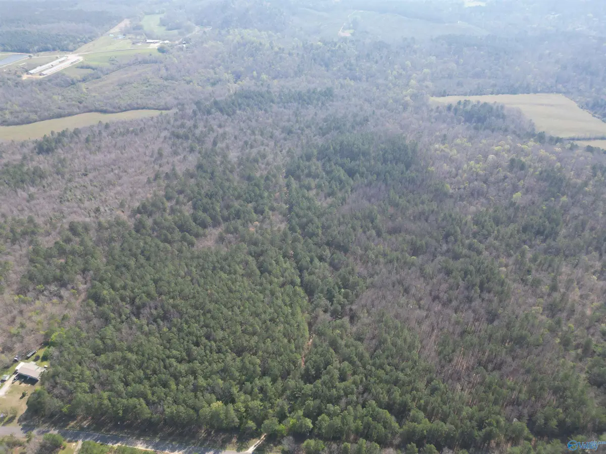 80 +/- Acres Pine Ridge Road, Wellington, AL 36279 - #1