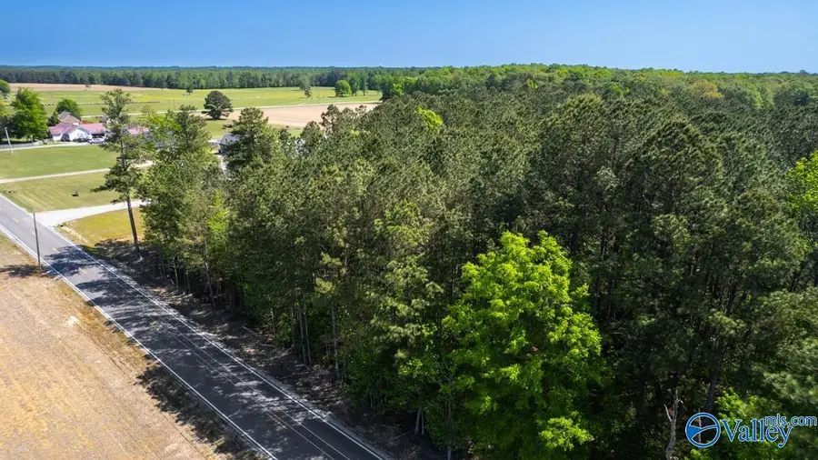 2.0 Oak Grove Road, Elkmont, AL 35620 - #3