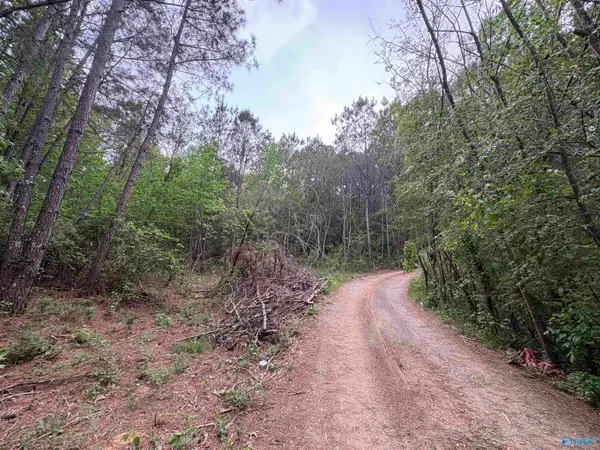 Lot 1 Wilhite Road, Falkville, AL 35622