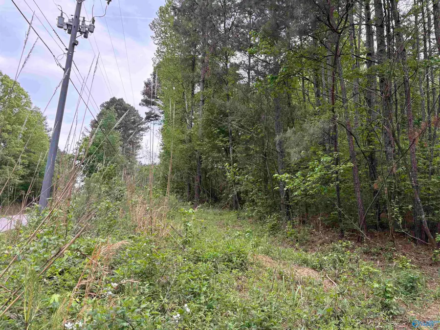 Lot 1 Wilhite Road, Falkville, AL 35622 - #2