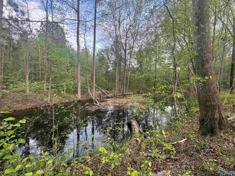 Lot 7 County Road 496, Centre, AL 35960 - #3